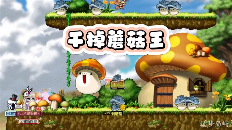 冒险岛私服新手避坑指南：职业选择与前期养成路线
